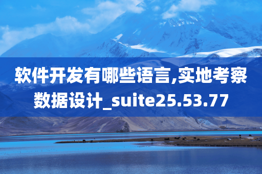 软件开发有哪些语言,实地考察数据设计_suite25.53.77