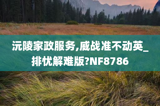 沅陵家政服务,威战准不动英_排忧解难版?NF8786