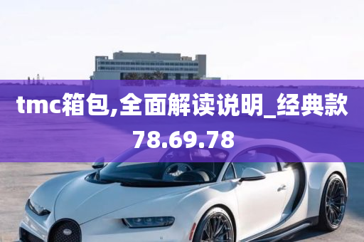 tmc箱包,全面解读说明_经典款78.69.78