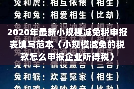 2020年最新小规模减免税申报表填写范本（小规模减免的税款怎么申报企业所得税）