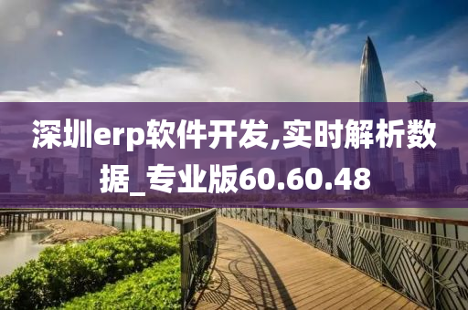 深圳erp软件开发,实时解析数据_专业版60.60.48