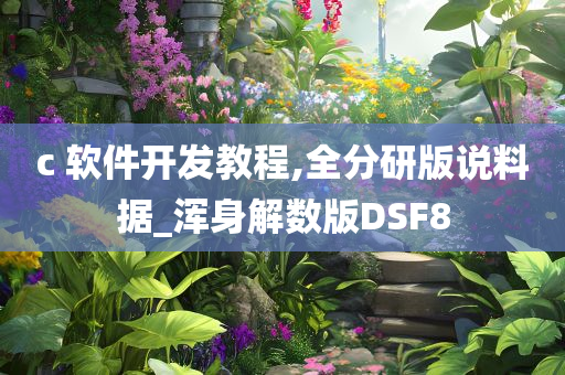 c 软件开发教程,全分研版说料据_浑身解数版DSF8