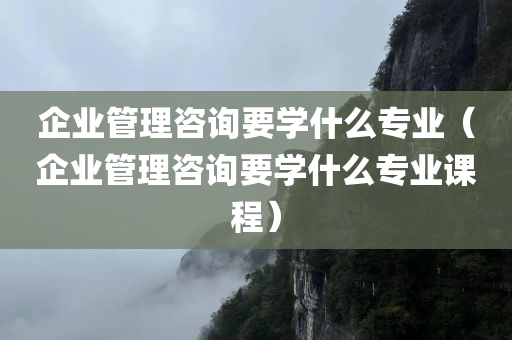 企业管理咨询要学什么专业（企业管理咨询要学什么专业课程）