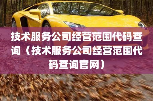 技术服务公司经营范围代码查询（技术服务公司经营范围代码查询官网）