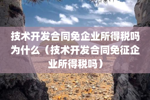 技术开发合同免企业所得税吗为什么（技术开发合同免征企业所得税吗）