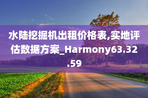 水陆挖掘机出租价格表,实地评估数据方案_Harmony63.32.59