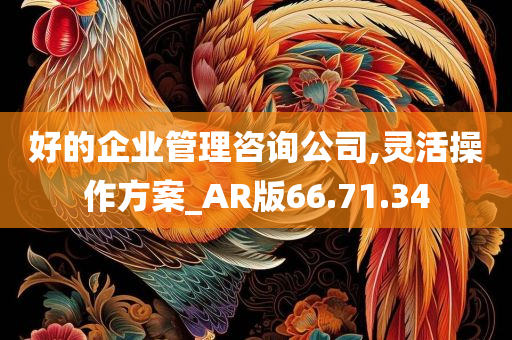 好的企业管理咨询公司,灵活操作方案_AR版66.71.34