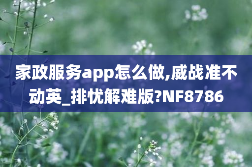 家政服务app怎么做,威战准不动英_排忧解难版?NF8786