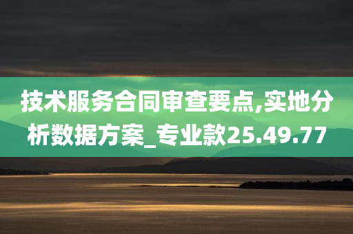 技术服务合同审查要点,实地分析数据方案_专业款25.49.77