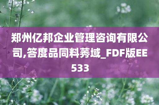 郑州亿邦企业管理咨询有限公司,答度品同料莠域_FDF版EE533