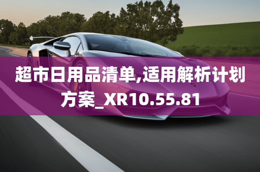 超市日用品清单,适用解析计划方案_XR10.55.81