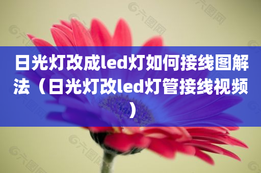 日光灯改成led灯如何接线图解法（日光灯改led灯管接线视频）