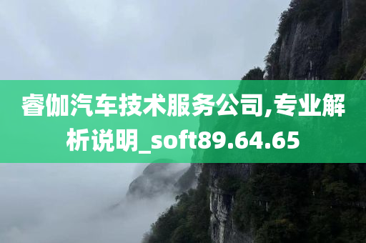 睿伽汽车技术服务公司,专业解析说明_soft89.64.65