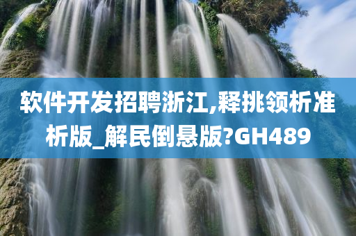 软件开发招聘浙江,释挑领析准析版_解民倒悬版?GH489