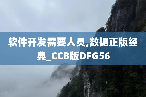 软件开发需要人员,数据正版经典_CCB版DFG56