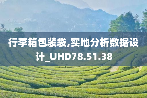 行李箱包装袋,实地分析数据设计_UHD78.51.38