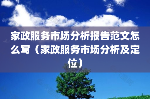 家政服务市场分析报告范文怎么写（家政服务市场分析及定位）