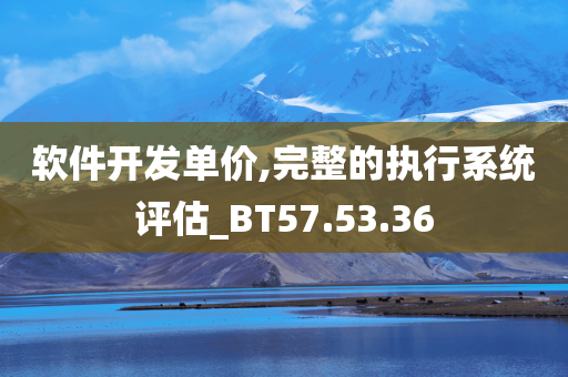 软件开发单价,完整的执行系统评估_BT57.53.36