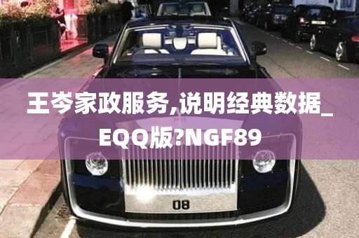 王岑家政服务,说明经典数据_EQQ版?NGF89