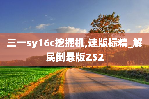 三一sy16c挖掘机,速版标精_解民倒悬版ZS2