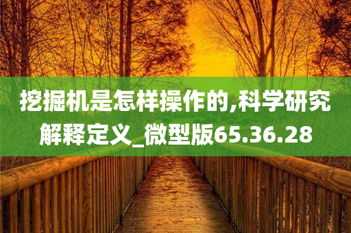 挖掘机是怎样操作的,科学研究解释定义_微型版65.36.28