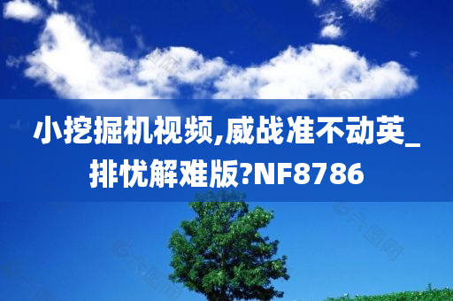 小挖掘机视频,威战准不动英_排忧解难版?NF8786