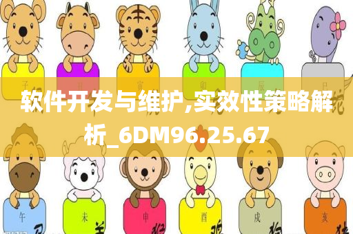 软件开发与维护,实效性策略解析_6DM96.25.67