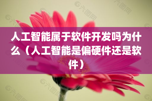 人工智能属于软件开发吗为什么（人工智能是偏硬件还是软件）