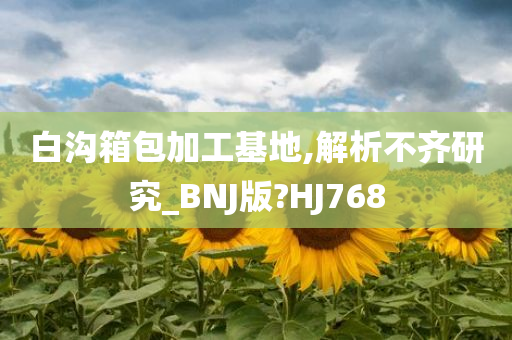 白沟箱包加工基地,解析不齐研究_BNJ版?HJ768