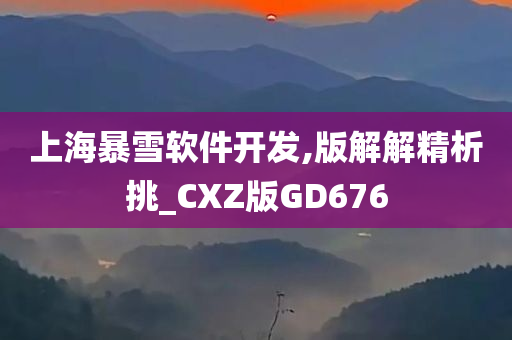 上海暴雪软件开发,版解解精析挑_CXZ版GD676