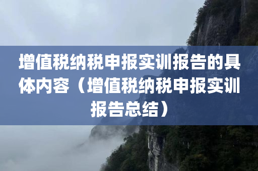 增值税纳税申报实训报告的具体内容（增值税纳税申报实训报告总结）