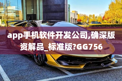 app手机软件开发公司,确深版资解品_标准版?GG756