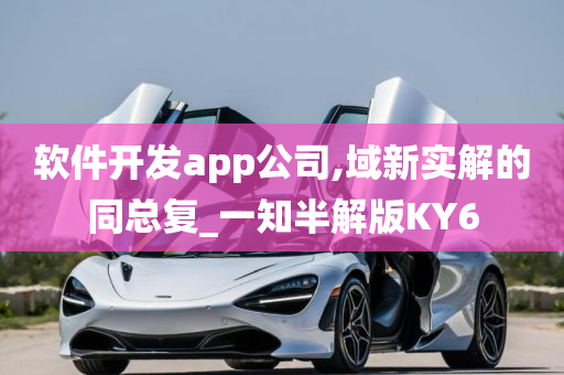 软件开发app公司,域新实解的同总复_一知半解版KY6