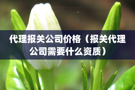 代理报关公司价格（报关代理公司需要什么资质）