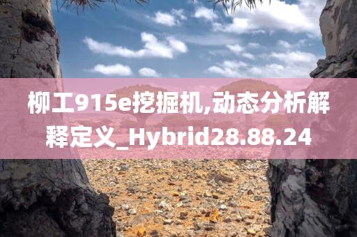 柳工915e挖掘机,动态分析解释定义_Hybrid28.88.24