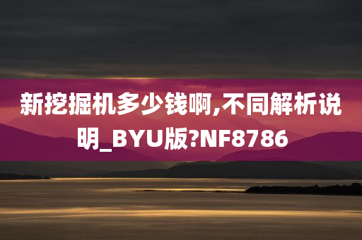 新挖掘机多少钱啊,不同解析说明_BYU版?NF8786