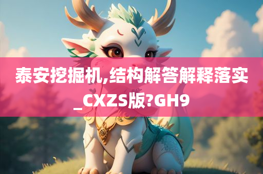 泰安挖掘机,结构解答解释落实_CXZS版?GH9