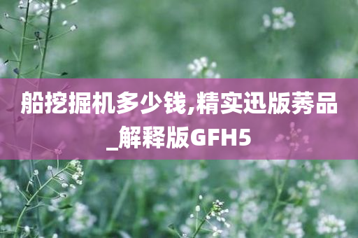 船挖掘机多少钱,精实迅版莠品_解释版GFH5