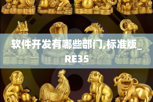 软件开发有哪些部门,标准版_RE35