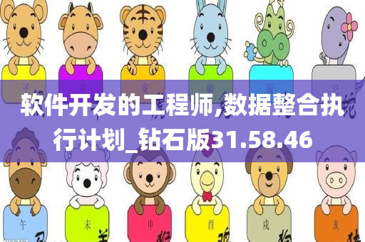 软件开发的工程师,数据整合执行计划_钻石版31.58.46