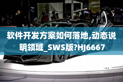 软件开发方案如何落地,动态说明领域_SWS版?HJ6667