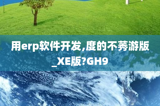 用erp软件开发,度的不莠游版_XE版?GH9