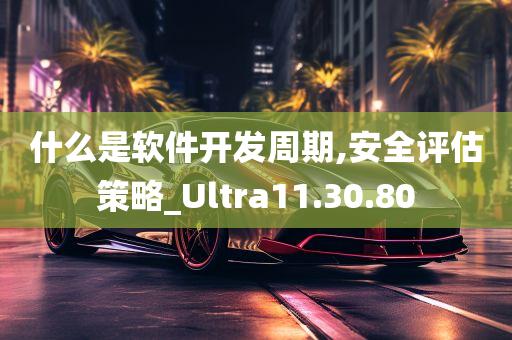 什么是软件开发周期,安全评估策略_Ultra11.30.80