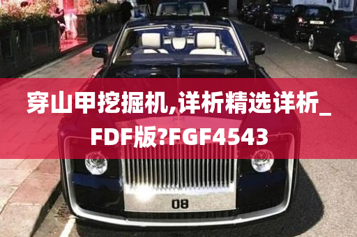 穿山甲挖掘机,详析精选详析_FDF版?FGF4543