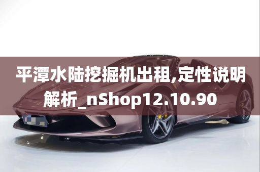 平潭水陆挖掘机出租,定性说明解析_nShop12.10.90