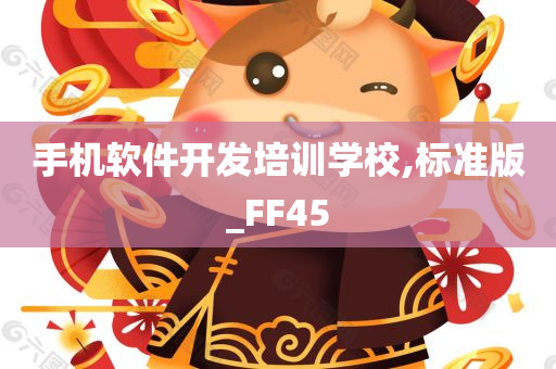 手机软件开发培训学校,标准版_FF45