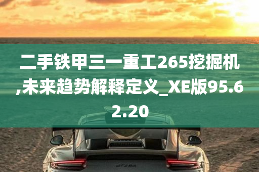 二手铁甲三一重工265挖掘机,未来趋势解释定义_XE版95.62.20