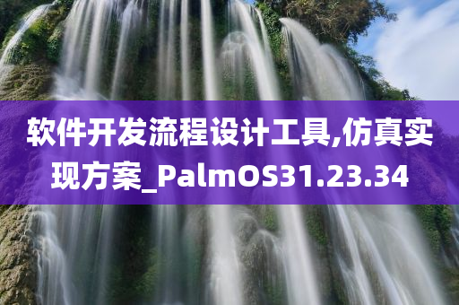 软件开发流程设计工具,仿真实现方案_PalmOS31.23.34