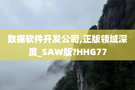 数据软件开发公司,正版领域深度_SAW版?HHG77