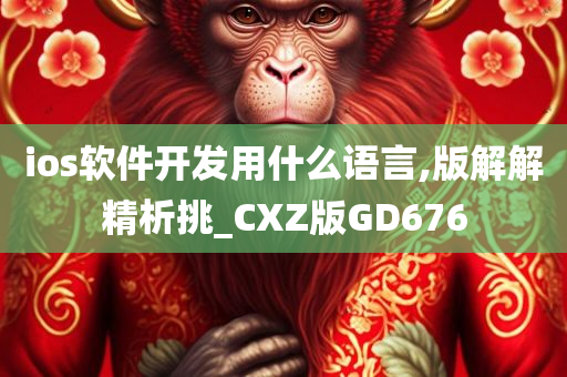 ios软件开发用什么语言,版解解精析挑_CXZ版GD676